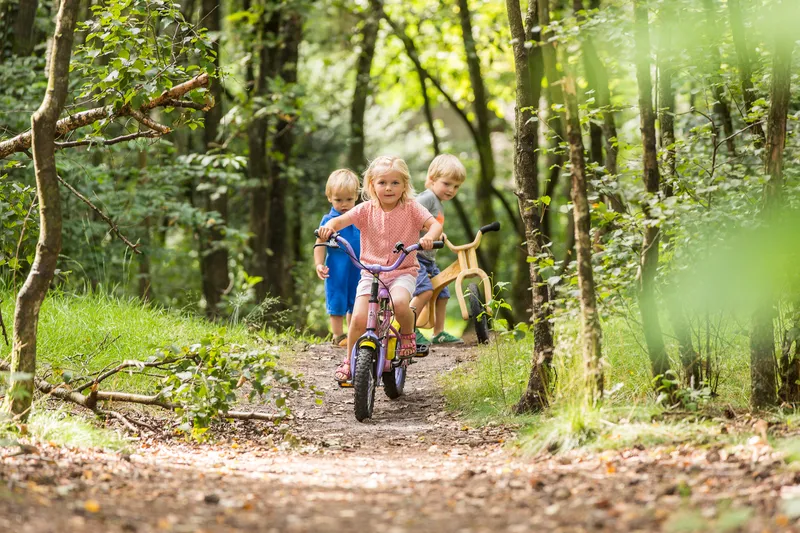 fiets-01-75856.jpg