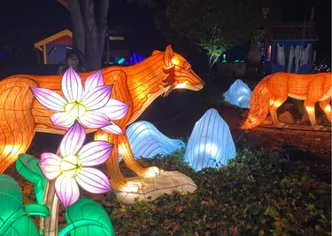 Wunderlight in Wunderland Kalkar