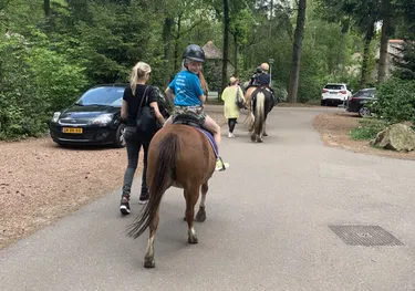 Pony vakantie