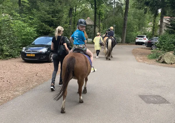 Pony vakantie