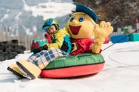 recently watched image