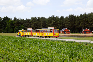 de-flaasbloem (17).jpg