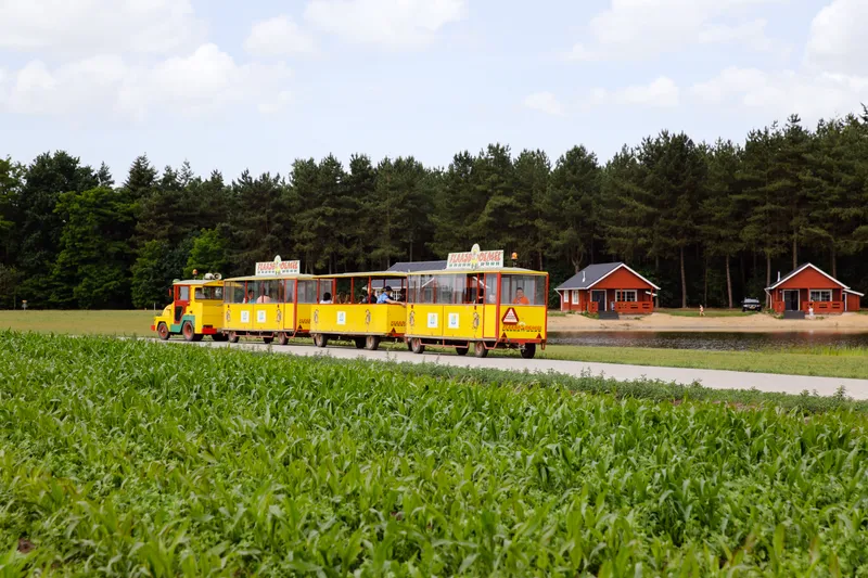 de-flaasbloem (17).jpg