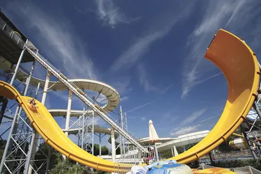 paloma-finesse (4).jpg