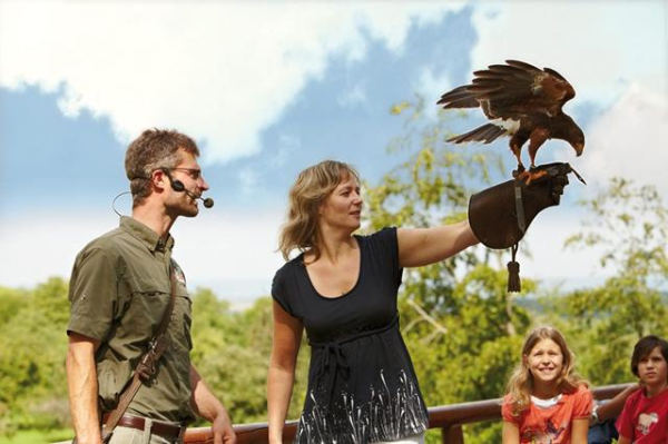 Vakantiepark Tripsdrill