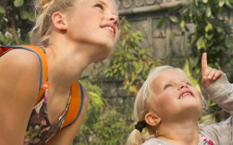 Vakantievilla's PUUR Exloo