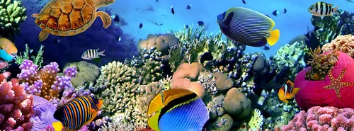 De winterzon op Bonaire
