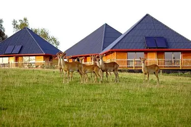 Cerza Safari Lodge