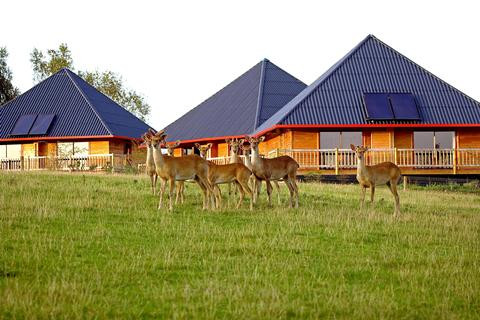 Cerza Safari Lodge
