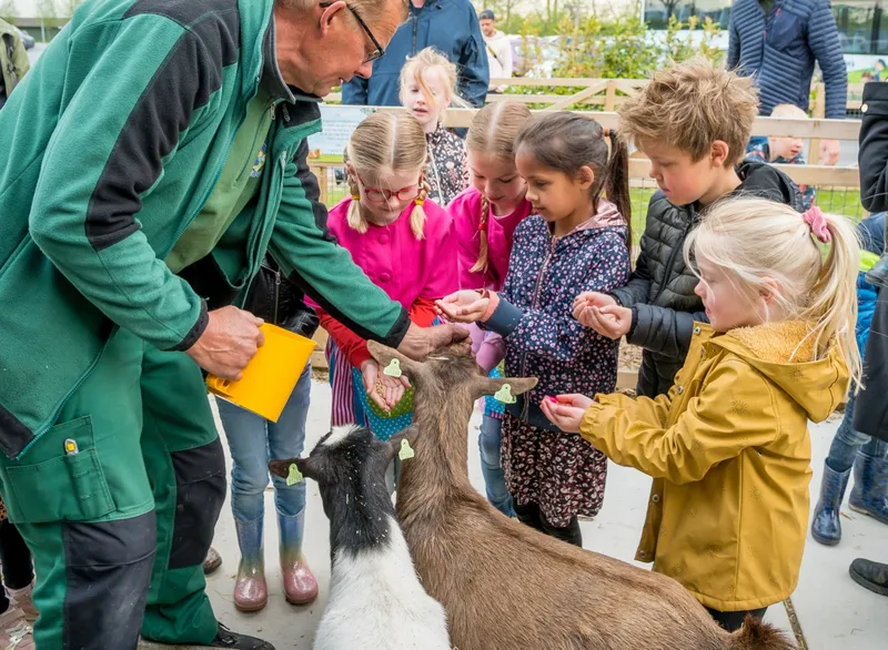 Vakantiepark Molenwaard