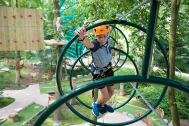 Hoofdafbeelding herfst.jpg