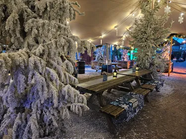 Beleef de magie van Light Safari Beekse Bergen