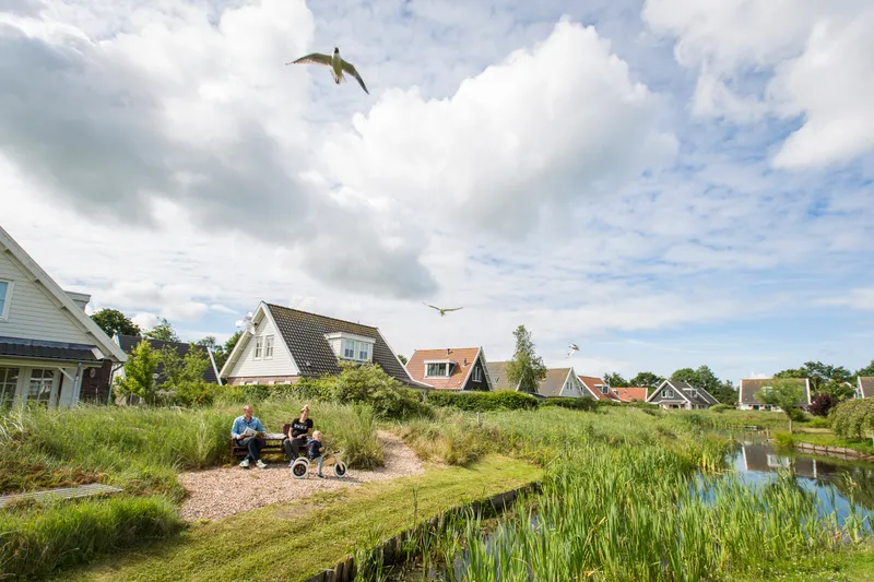 Hoofdafbeelding zomer.jpg