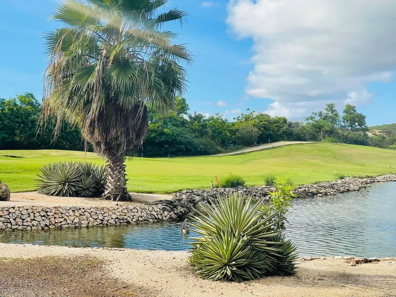 The Blue Bay Beach Villa - Willemstad