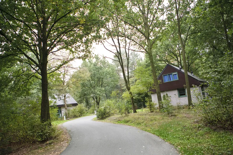 Limburgse Peel.jpg