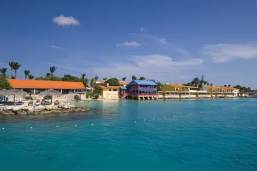 Divi Flamingo Beach Resort