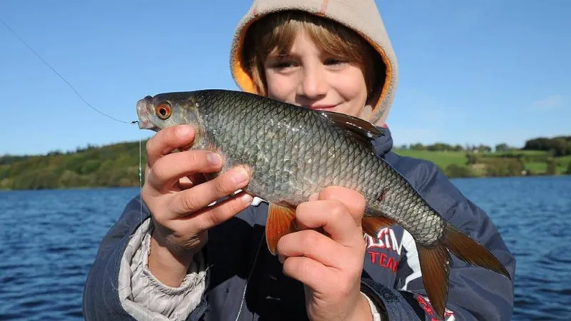 Bryrup Camping