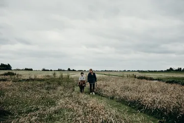 BoerenBed ponyrijden TaarTenTuin.jpg