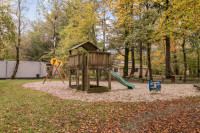 recently watched image