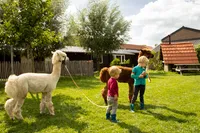 recently watched image