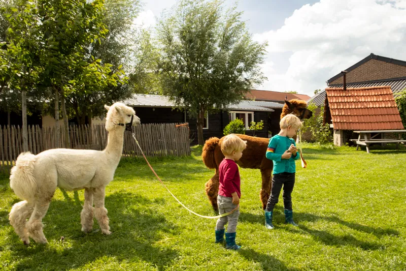 BoerenBed Hoeve de Betuwe