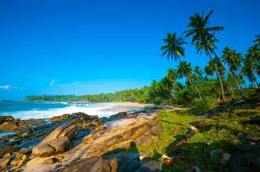 Strand Sri Lanka strand.jpg