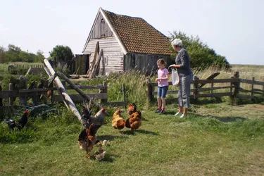 Camping Loodsmansduin