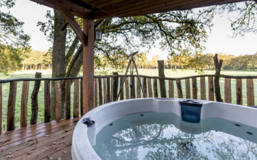 Boomhut vakantie Nederland