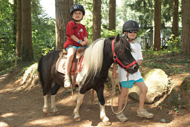 Camping Domaine des Ormes