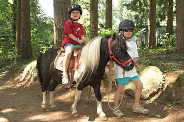 Camping Domaine des Ormes