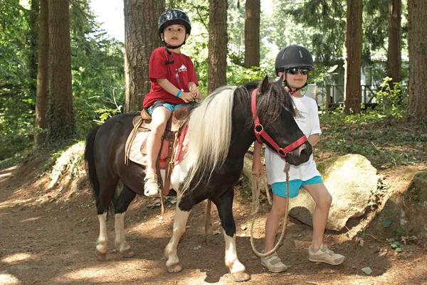 Camping Domaine des Ormes