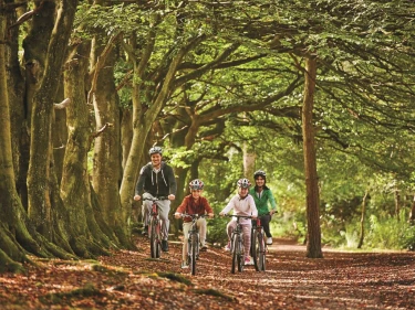 Vakantiepark Darwin Forest