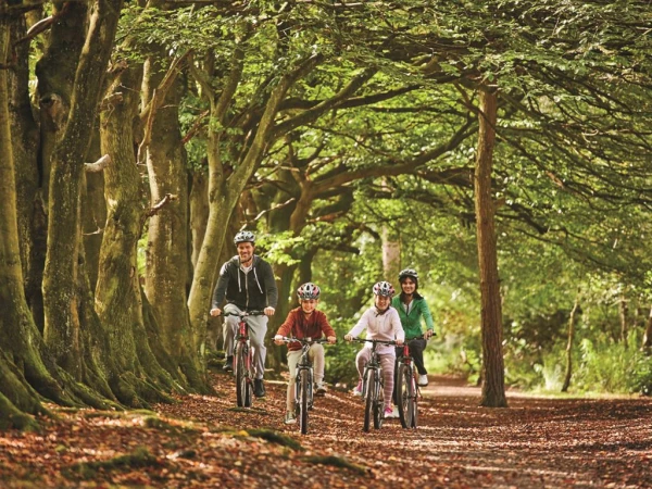 Vakantiepark Darwin Forest