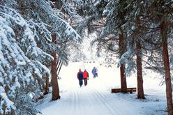 Vakantiepark Arolsen Twistesee