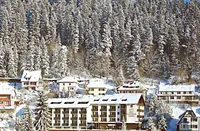 recently watched image