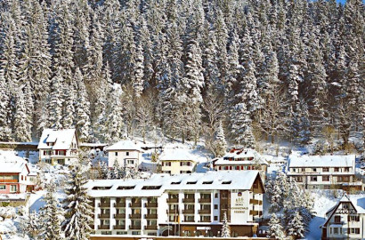 Vakantiepark Waldbrunn - Baden-Württemberg - Duitsland