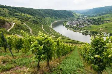 Vakantiepark Hambachtal