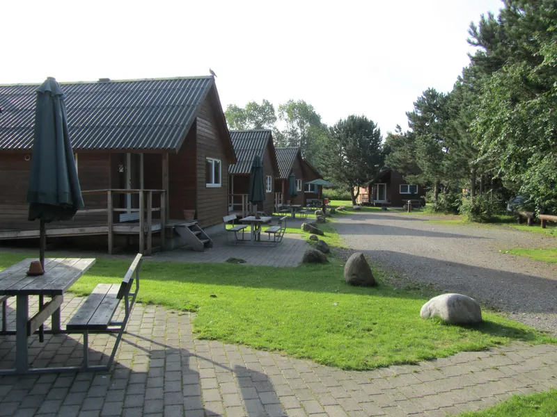 BS162077.jpg