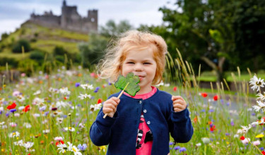 15-daagse autorondreis 'Teagan' door Engeland & Ierland