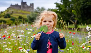 15-daagse autorondreis 'Teagan' door Engeland & Ierland