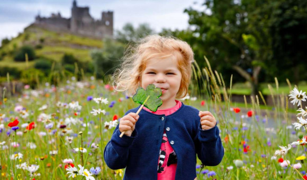 15-daagse autorondreis 'Teagan' door Engeland & Ierland