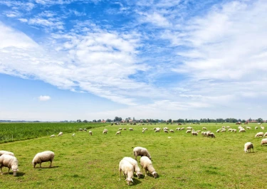 BoerenBed Hoeve Zeeland