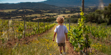 boerenbed frankrijk.png