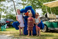 recently watched image