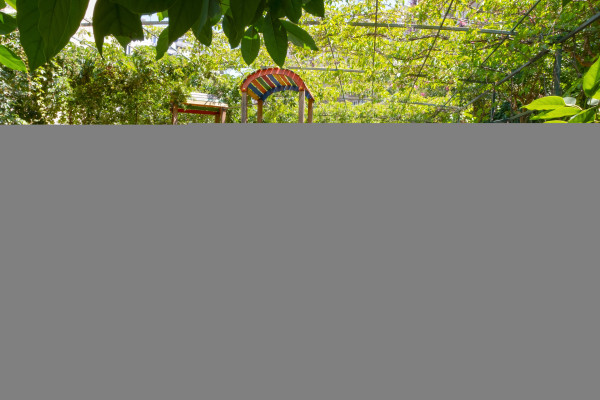 Club Paradiso Alanya