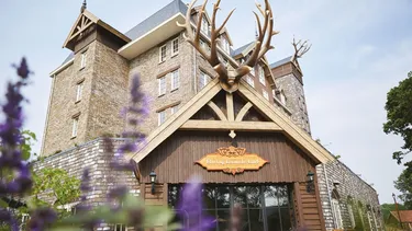 Hoofdafbeelding lente.jpg