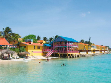 Divi Flamingo Beach Resort