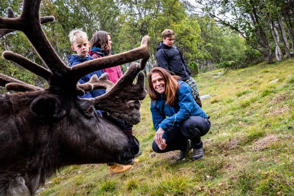 Ontdek de scherenkust en het binnenland van Zweden