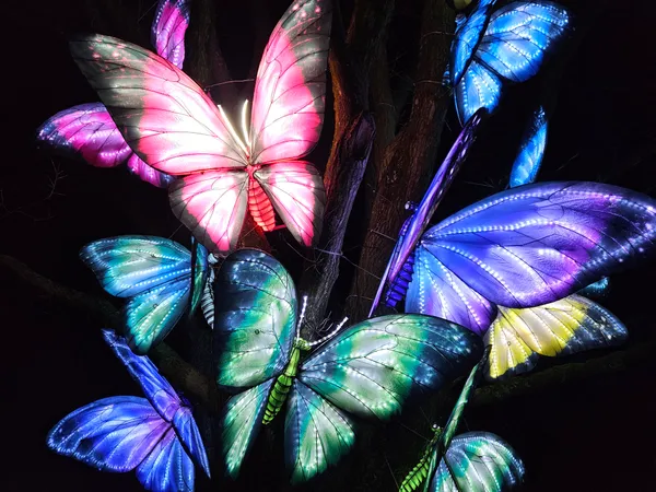 Beleef de magie van Light Safari Beekse Bergen