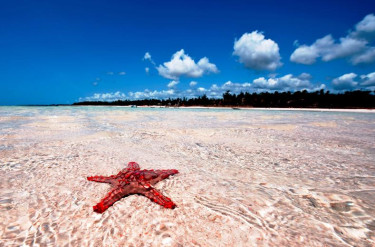 Neptune Village Beach Resort & Spa